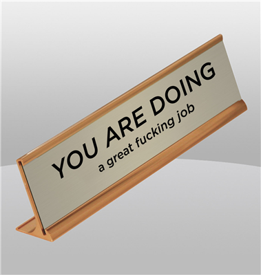 "You Are Doing a Great Fucking Job" Silver Desk Name Plate